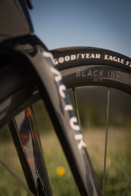 RobPerry_PeeledMedia_Factor_153