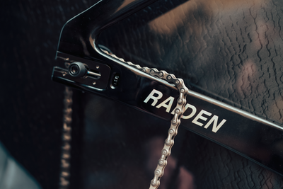Raiden_027
