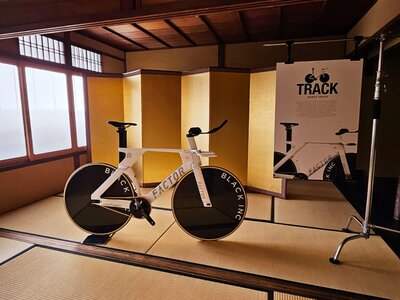 Copy of Temple of Speed - Kyoto - Room 4