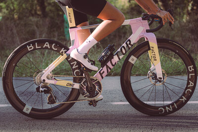Factor ONE Blush-03