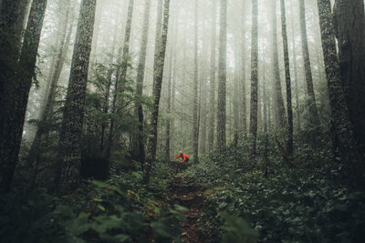 RobPerry_Factor_March 23_ 2022-6