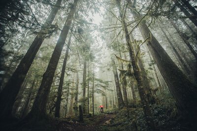 RobPerry_Factor_March 23_ 2022