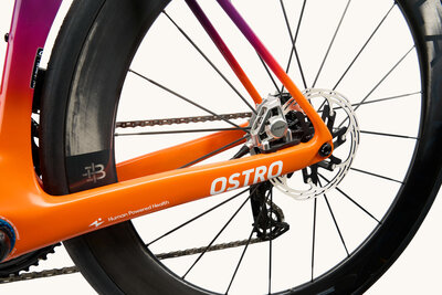 Factor_ostro_2024_HPH_red_d_002