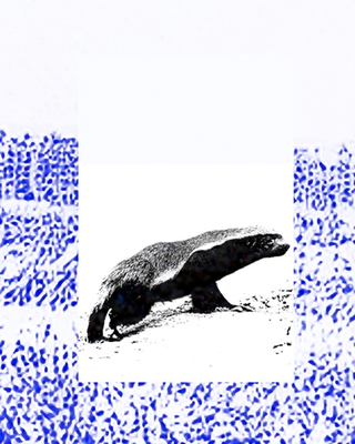 FACTOR-RACING-ATHLETES-IG-CARO_17