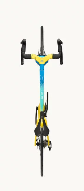 Factor ONE XXRAY PLUS SpongeBob SquarePants Edition_overhead