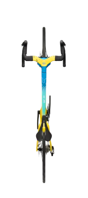 Factor ONE XXRAY PLUS SpongeBob SquarePants Edition_overhead