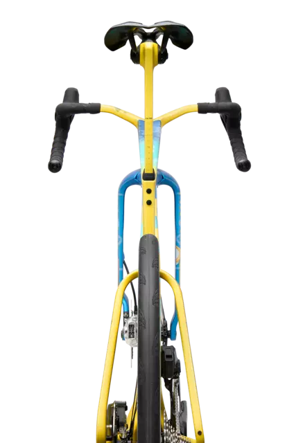 Factor ONE XXRAY PLUS SpongeBob SquarePants Edition_rear view