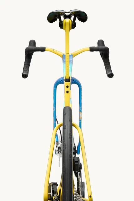 Factor ONE XXRAY PLUS SpongeBob SquarePants Edition_rear view