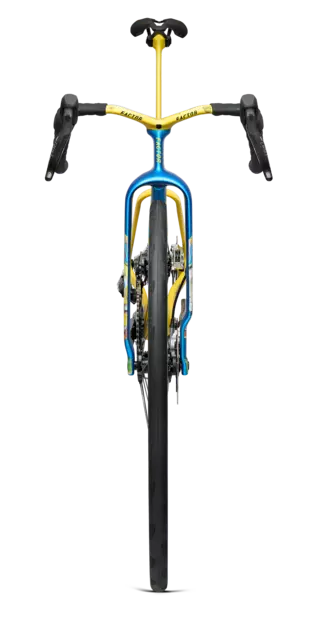 Factor ONE XXRAY PLUS SpongeBob SquarePants Edition_headtube