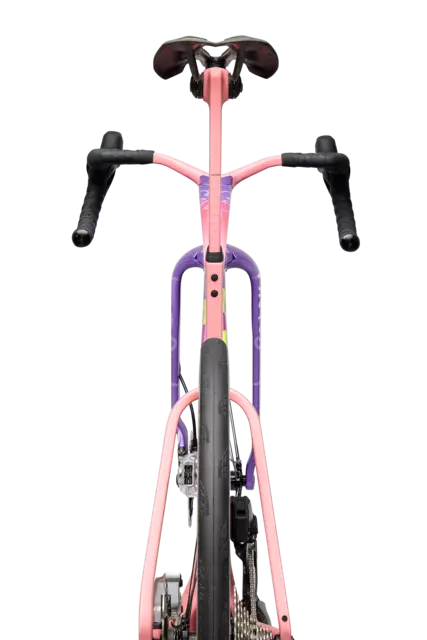 Factor ONE XXRAY PLUS Patrick Star Edition_rear view