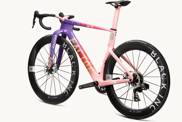 Factor ONE XXRAY PLUS Patrick Star Edition_NDS45