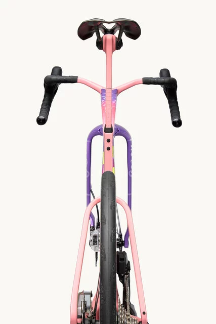 Factor ONE XXRAY PLUS Patrick Star Edition_rear view