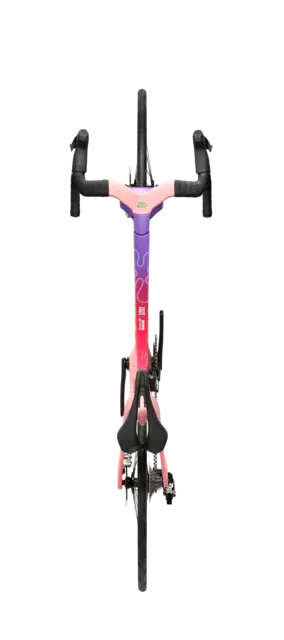 Factor ONE XXRAY PLUS Patrick Star Edition_overhead