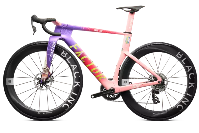 Factor ONE XXRAY PLUS Patrick Star Edition_NDS180