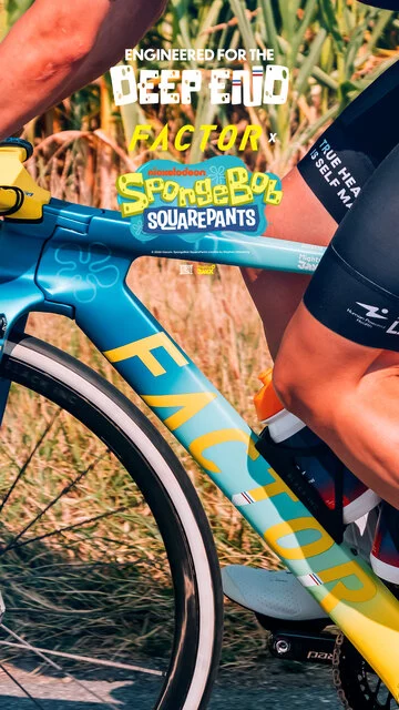 SBXTDF_02jpg