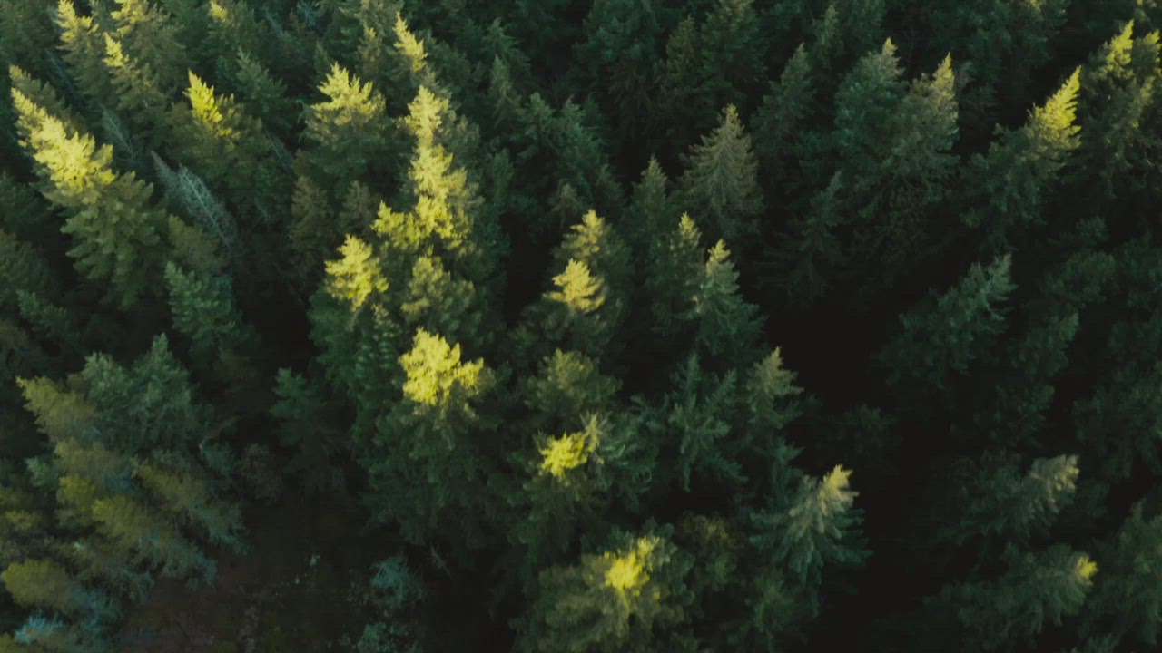 factor_lando_60sec_4K-2 (1).mov