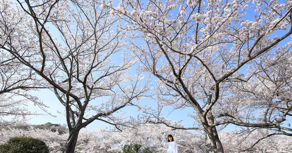 March shoulder season in Europe and Asia: Fewer crowds - more opportunities
