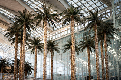 609665-XPENG_001-c5ac7f-original-1756821173