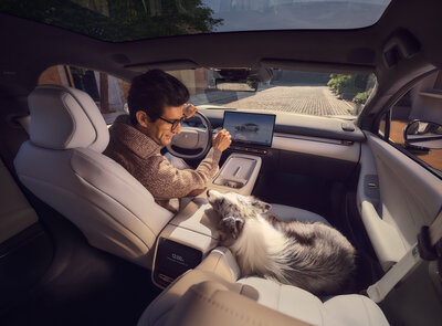 Rear-seat Entertainment Screen