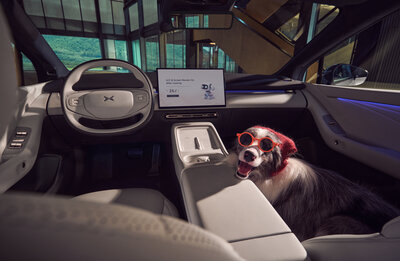 Freely Switchable Multi-mode System (Pet Mode, Comfort Mode, Relaxation Mode, Business Mode)