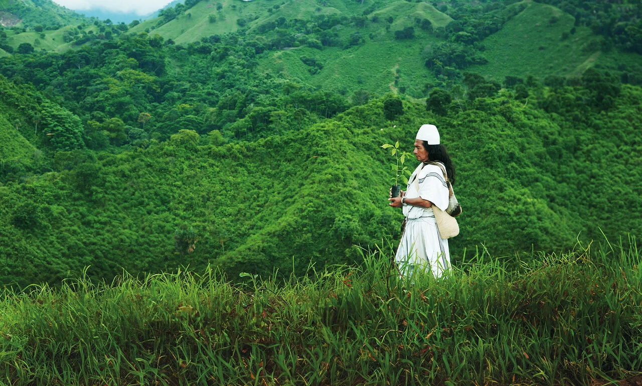 arhuaco-rogelio-walking-nature-JPG.jpeg