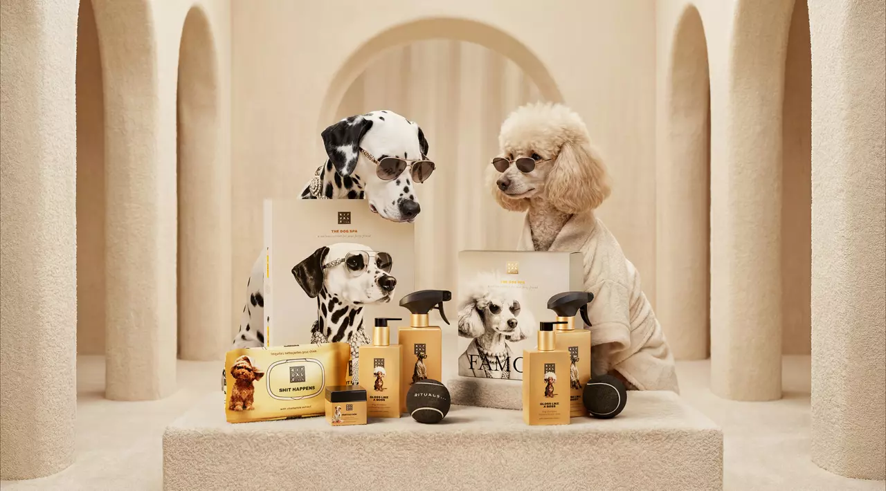 1122059-dc26006-dog-giftsets-2026-multi-PNG (1).png