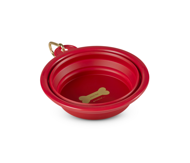 1123022-pets-dog-water-bowl-half-open-PNG.png