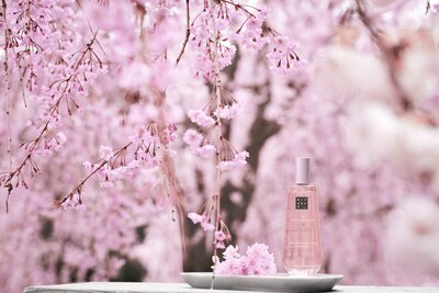 1117-rituals-44-sakura-2024-dry-oil_005