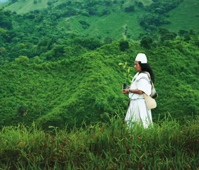 arhuaco-rogelio-walking-nature