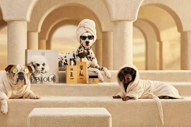 1121456-rituals-dc26001-b-dog-care-hero-banner-2026