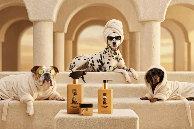 1121456-rituals-dc26001-dog-care-heroes-hero-banner-2026