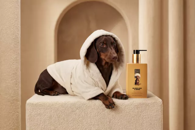 1121456-rituals-dc26016-dog-shampoo-2026