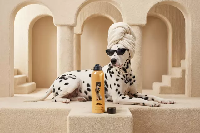 1121457-rituals-dc26015-pdp-dry-shampoo-2026