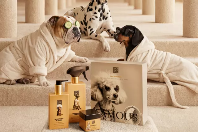 1121456-rituals-dc26001-hero-dog-multi-dlf-2026