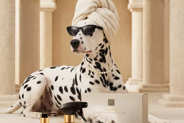 1122059-rituals-dc26038-dog-essentials-set-2026-dlf