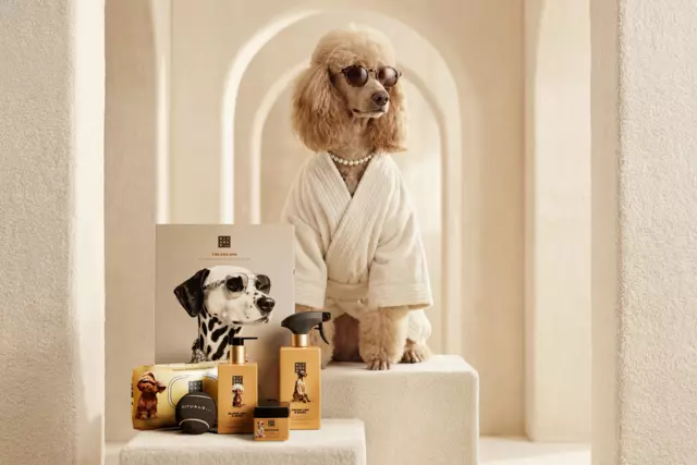 1122060-rituals-dc26031-pdp-dog-wellness-pack-2026