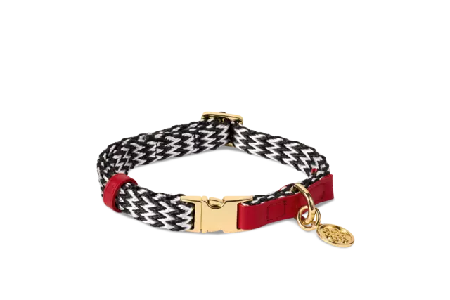 1122458-rituals-pets-dog-collar-s-m