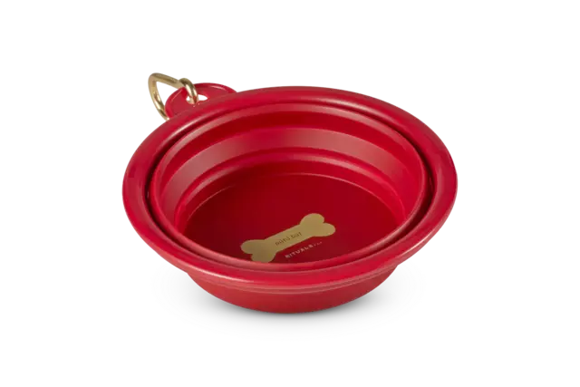 1123022-pets-dog-water-bowl-half-open