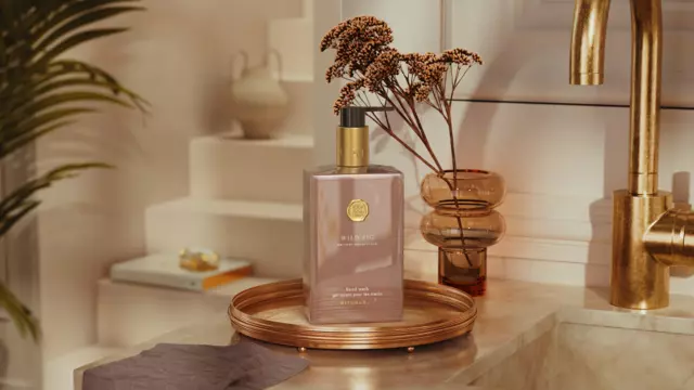 1118637-wi25001-wild-fig-hand-wash-300ml