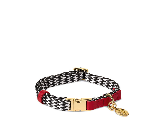 Rituals Dog Care - Dog Collar.jpeg