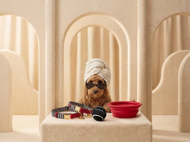 Rituals Dog Care Accessories 2026