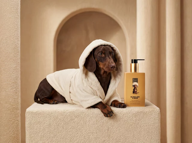 Rituals Dog Shampoo 2026