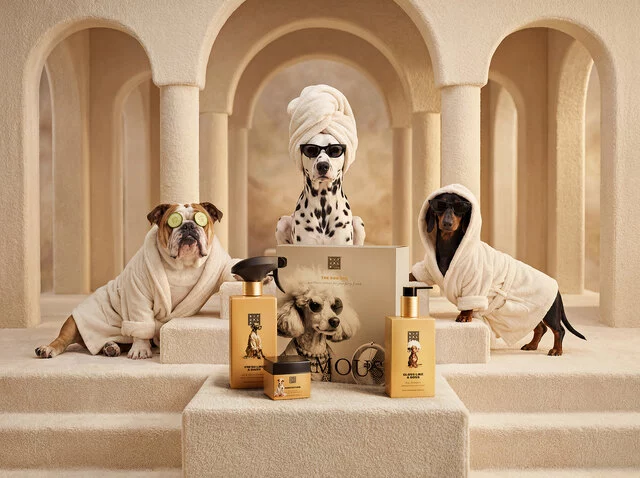 Rituals Hero Dog Multi 2026