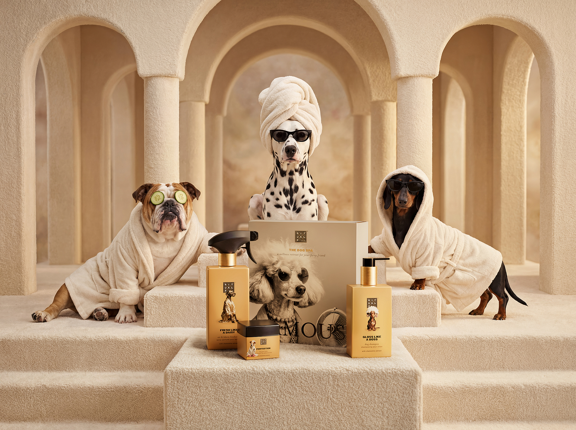 1121456-rituals-dc26001-hero-dog-multi-2026-JPG.jpeg