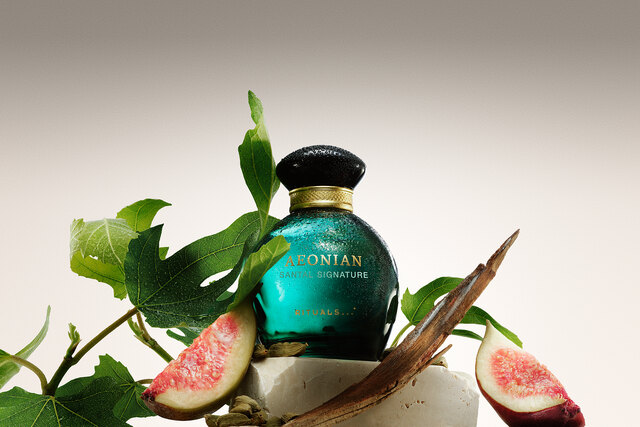 Aeonian - SANTAL SIGNATURE lifestyle.jpeg