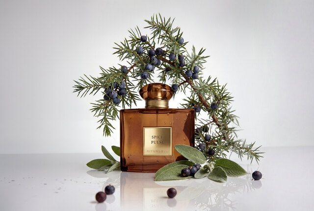 The Founder´s Collection - SPICE PULSE lifestyle.jpeg