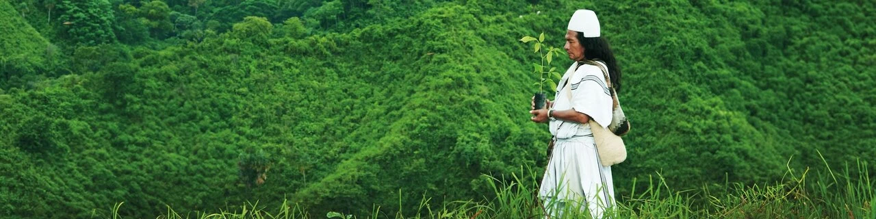 arhuaco-rogelio-walking-nature.jpeg