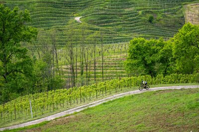 Copy of nova-eroica-10