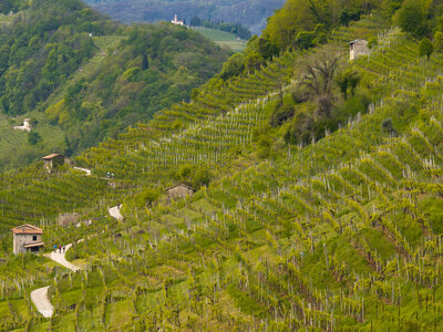 Copy of nova-eroica-6