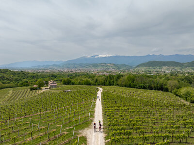 Copy of nova-eroica-prosecco-hills-3